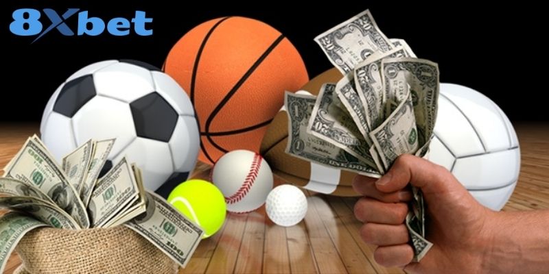 Sảnh giải trí thể thao 8XBET đẳng cấp nhất